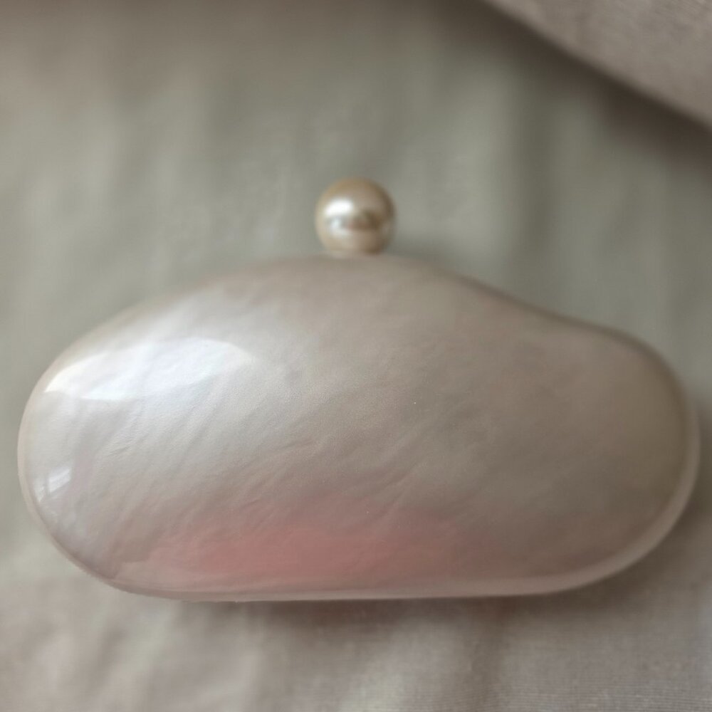 Acrylic Shell Evening Clutch